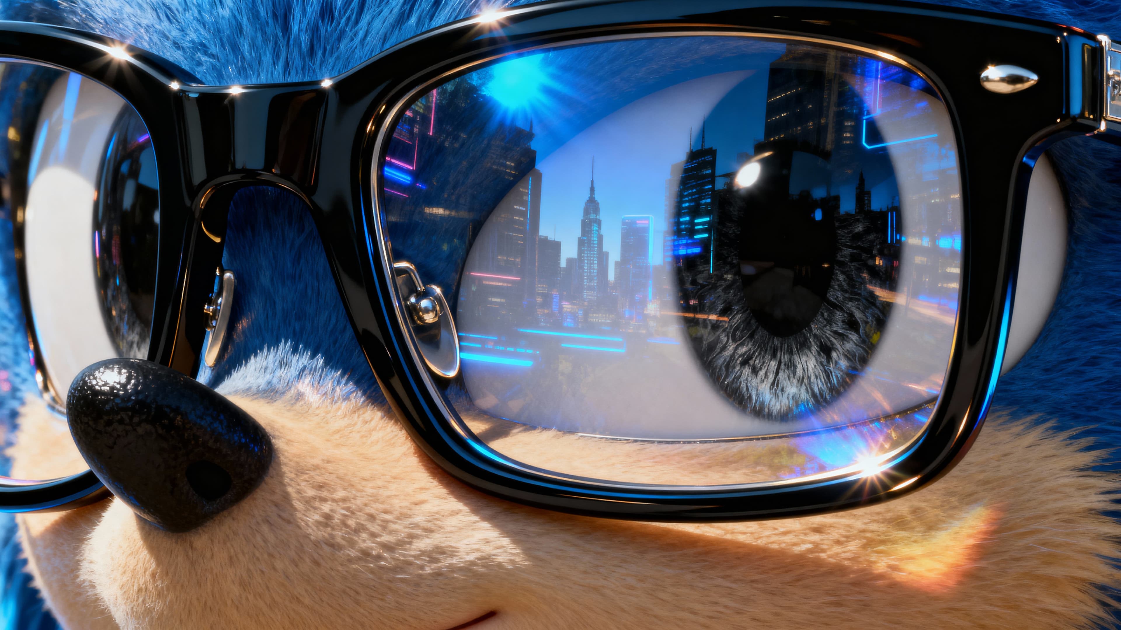 Sonic Portrait
